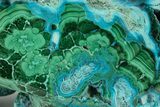 Vibrant Polished Malachite with Chrysocolla - DR Congo #320442-2